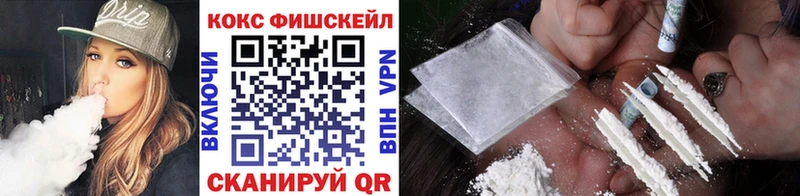 где купить наркоту  Шенкурск  площадка какой сайт  Cocaine Fish Scale 