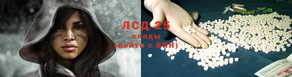 гидра Новодвинск
