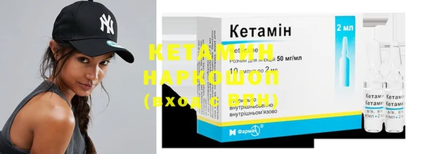 гидра Новодвинск
