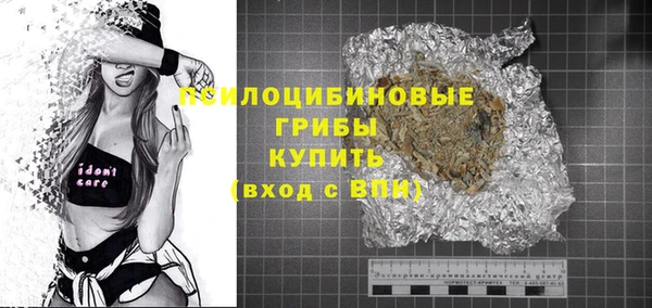 гидра Новодвинск
