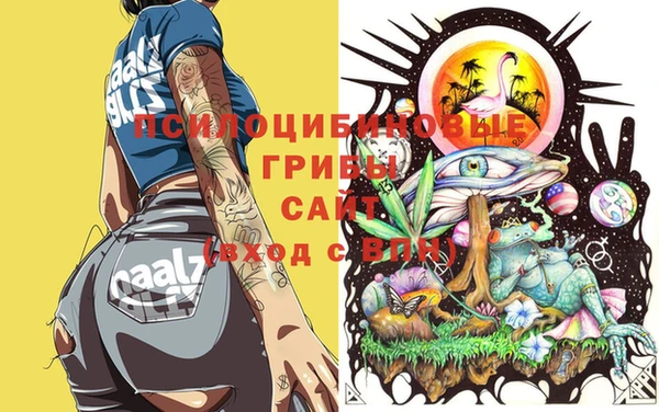 прущие крисы Новокубанск