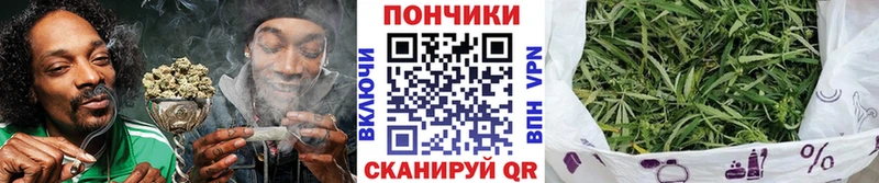 сайты даркнета состав  Шенкурск  Конопля план  цены наркотик 